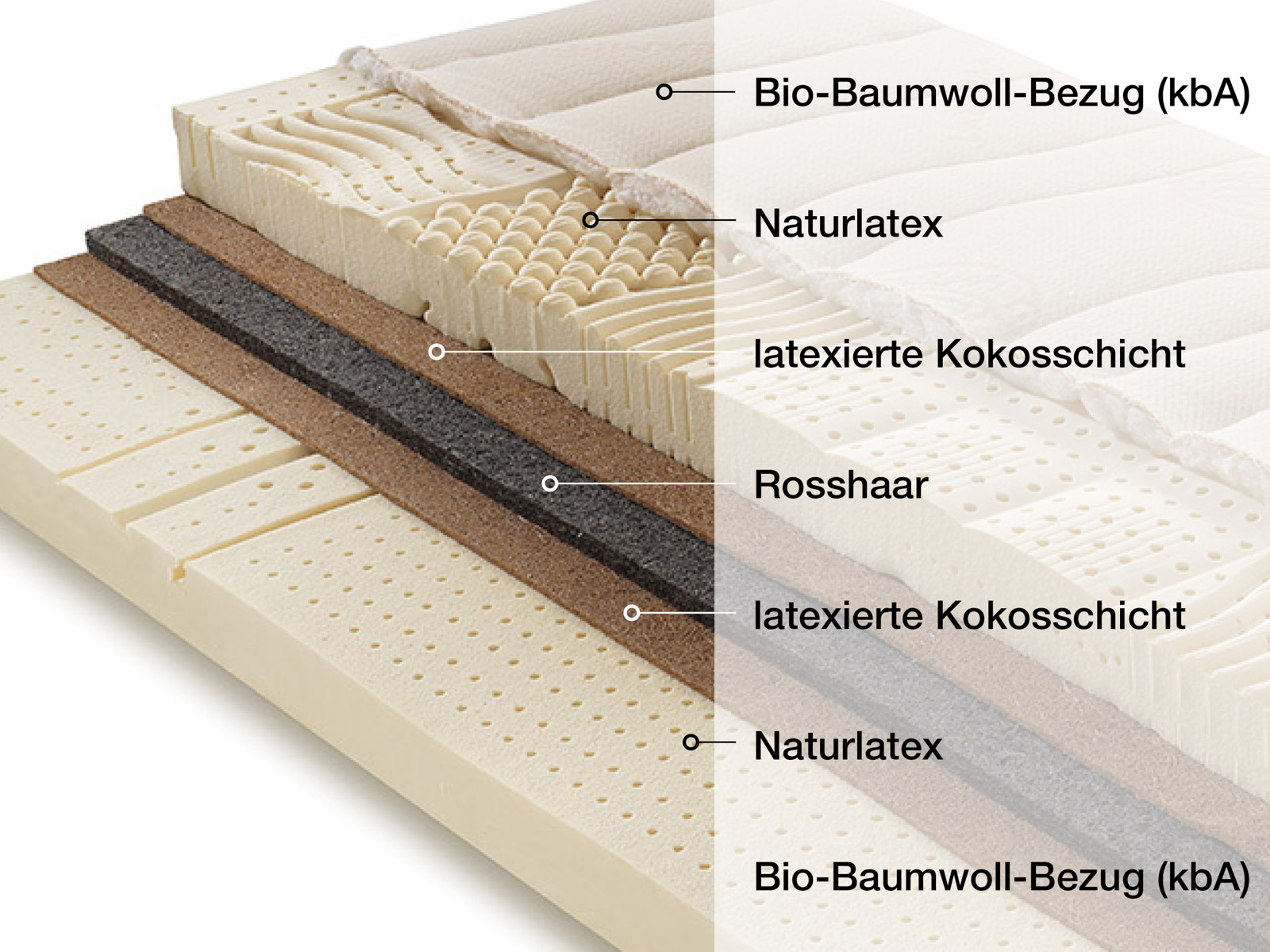 Schlafsystem „Romy & Tellerlattenrost" Rosshaar
