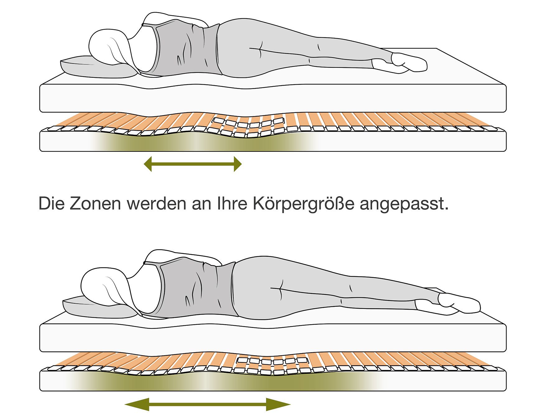 Die Zonen werden an Ihre Körpergröße angepasst. Auf diese Weise wird Ihre Wirbelsäule optimal entlastet.