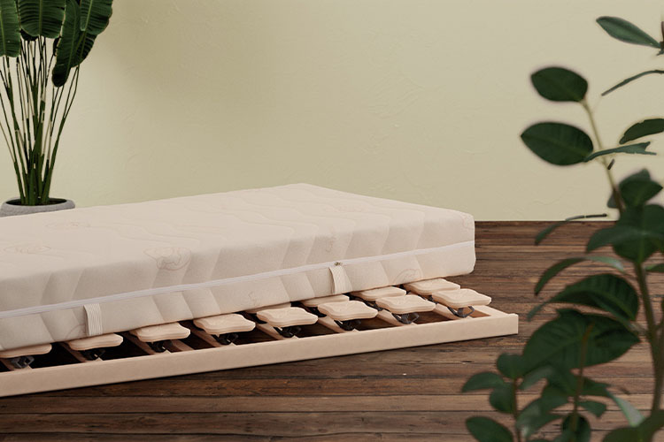Bio-Schlafsystem